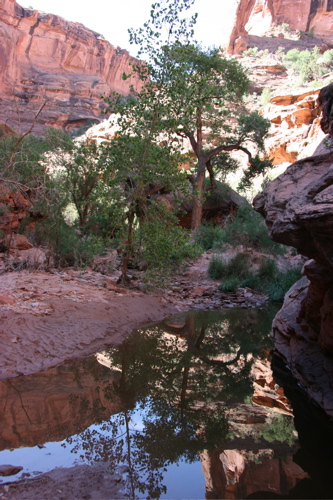 Hunter Canyon Arch, Utah — Hunter Canyon