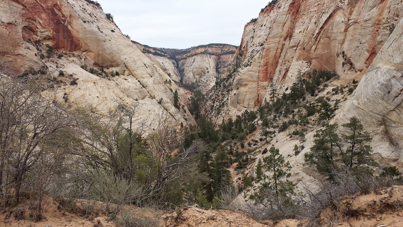 Near Checkerboard Mesa