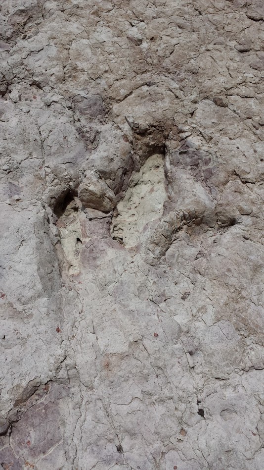 Checkerboard Mesa, Dinosaur Footprint