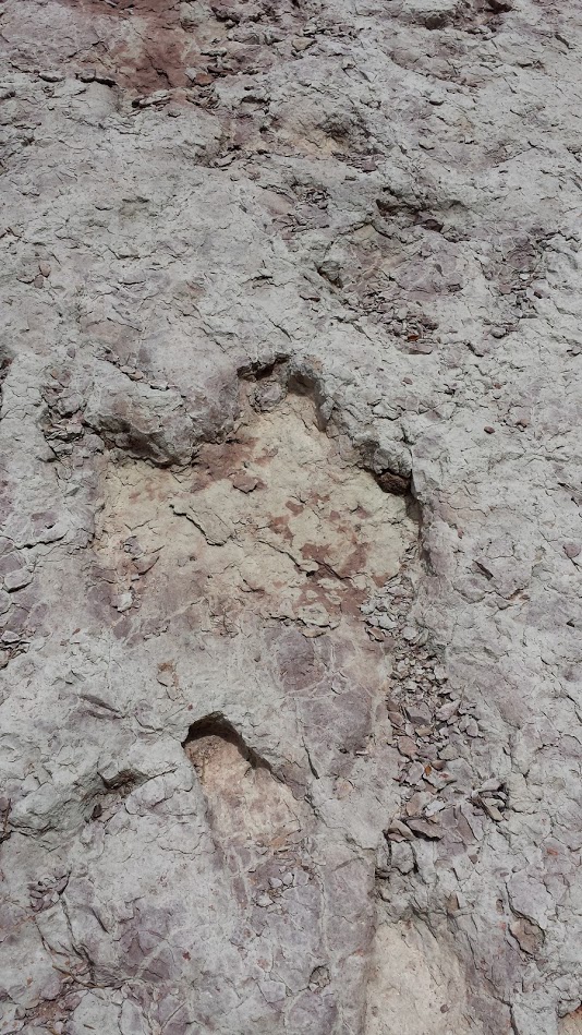 Checkerboard Mesa, Dinosaur Footprint