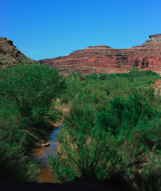 Kane Creek Canyon, Utah — Kane Creek Canyon