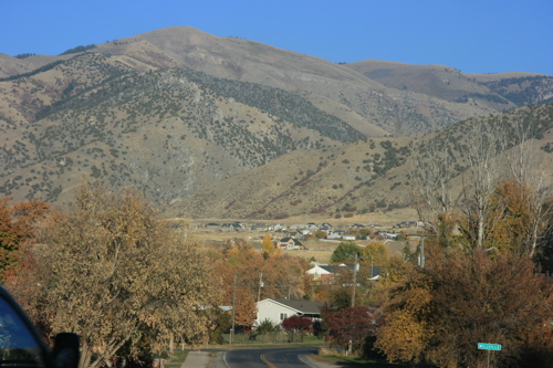 View East