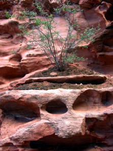 Negro Bill Canyon, Utah — Negro Bill Canyon — History of Negro Bill Canyon