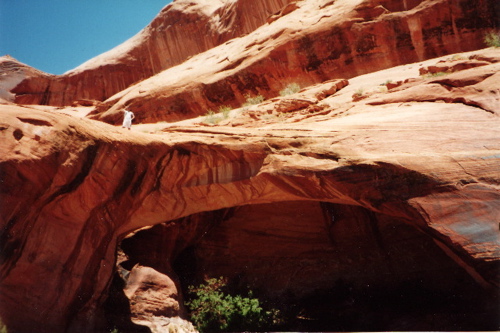 Jack's Arch